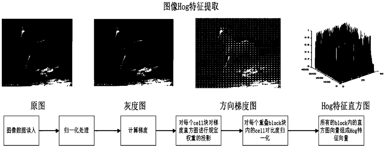 An image classification algorithm and system combining superpixel saliency features and HOG features