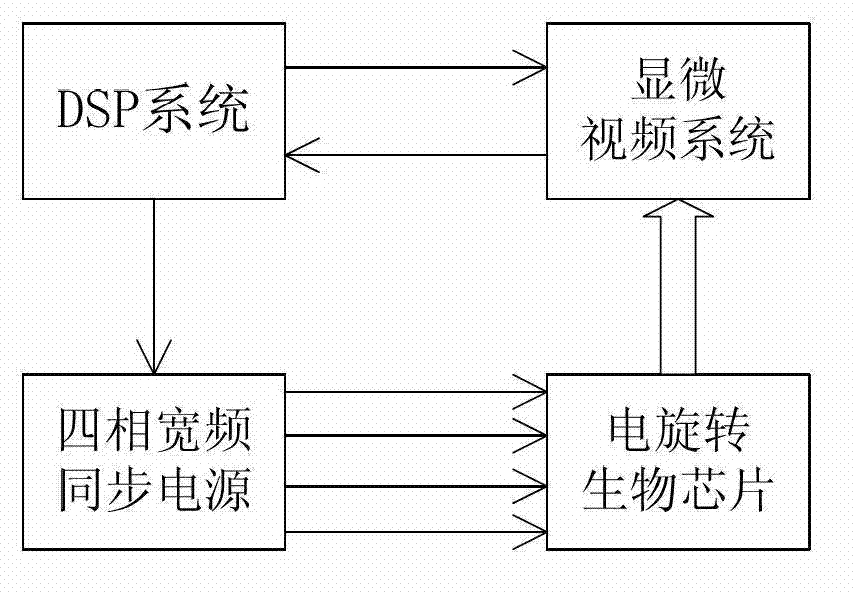 Measure and control device for electrorotation biological chip experiment and experiment system