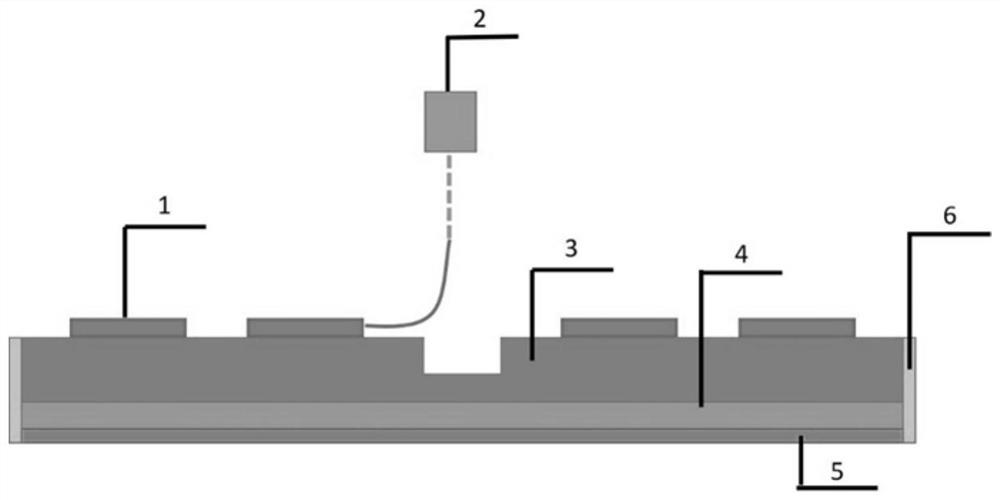 A deformable polishing disc based on thermoplastic material