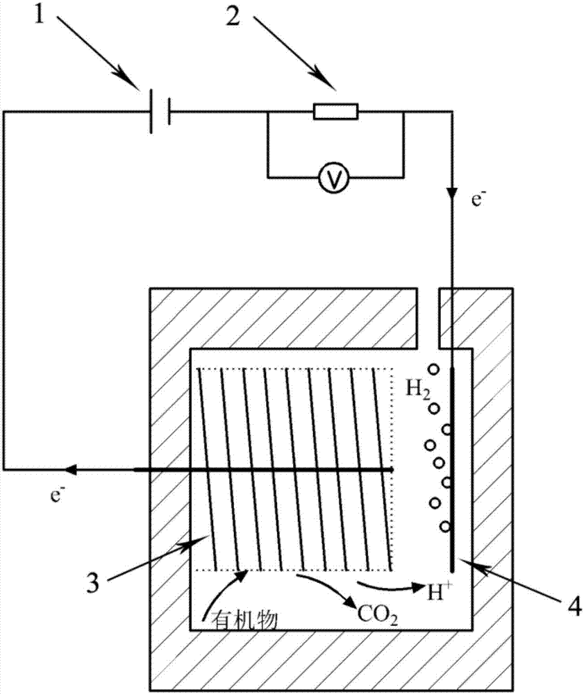 Method for promoting electrolysis of sludge microorganisms for hydrogen production by joint use of ultrasound and alkali