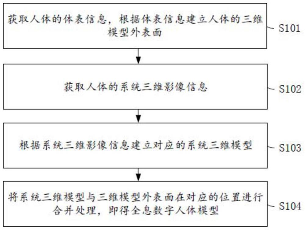 Holographic digital human body modeling method and device