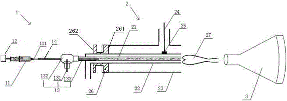 Microwave plasma torch ionization source and ionization mass spectrometry analysis method