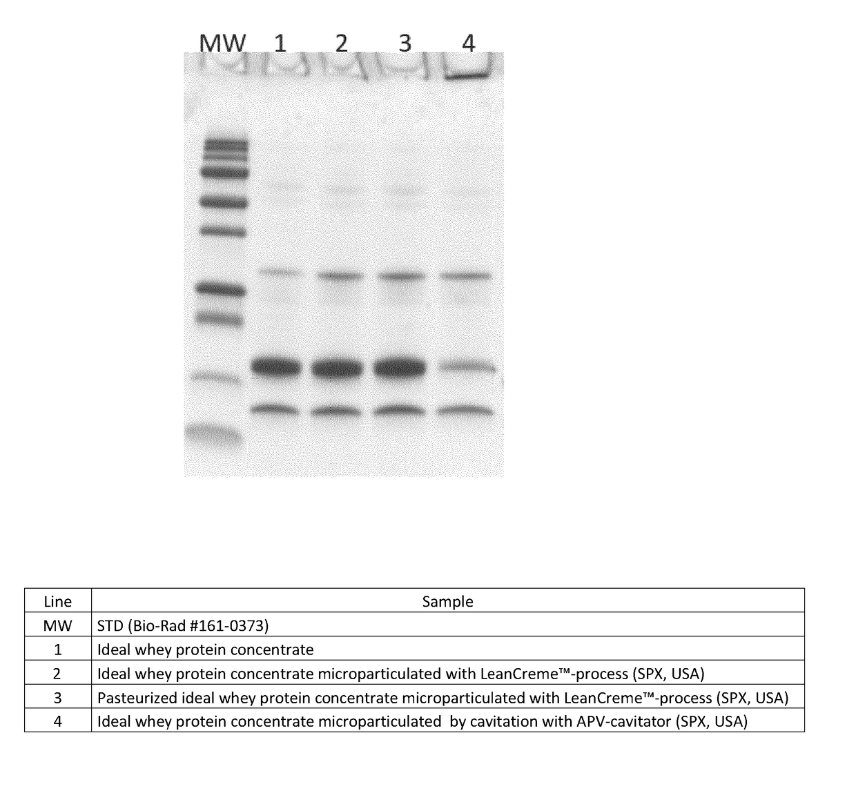 Whey preparation obtained by cavitation and uses thereof