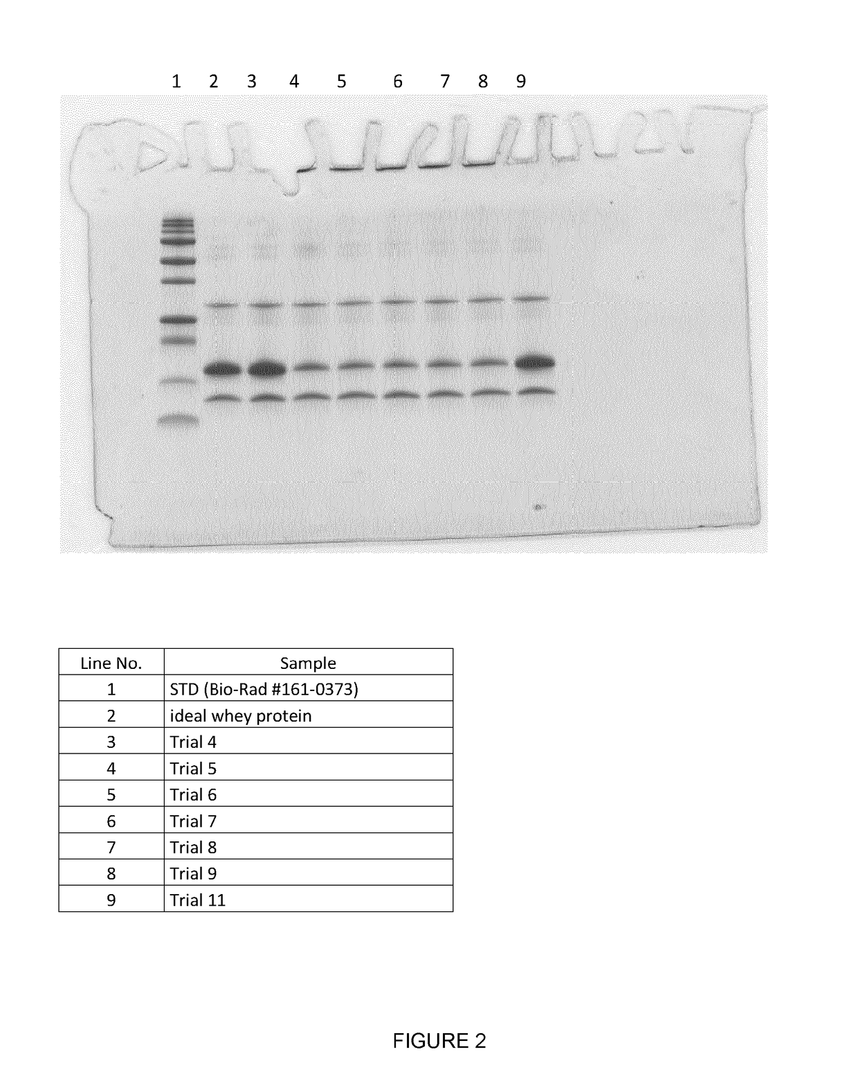 Whey preparation obtained by cavitation and uses thereof