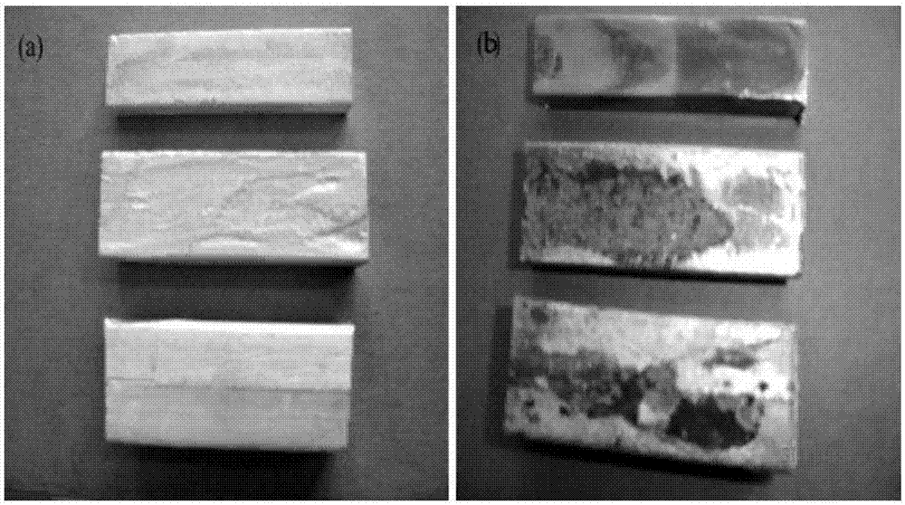 Precision investment casting method for magnesium alloy