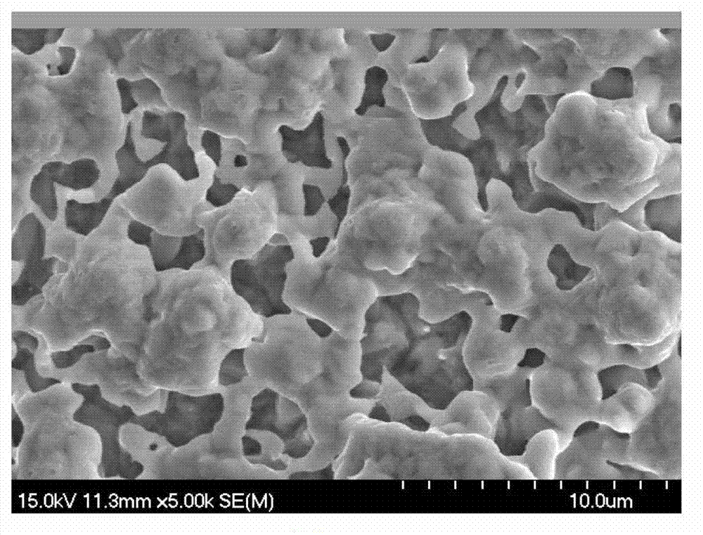 Tin alloy membrane electrode and application thereof