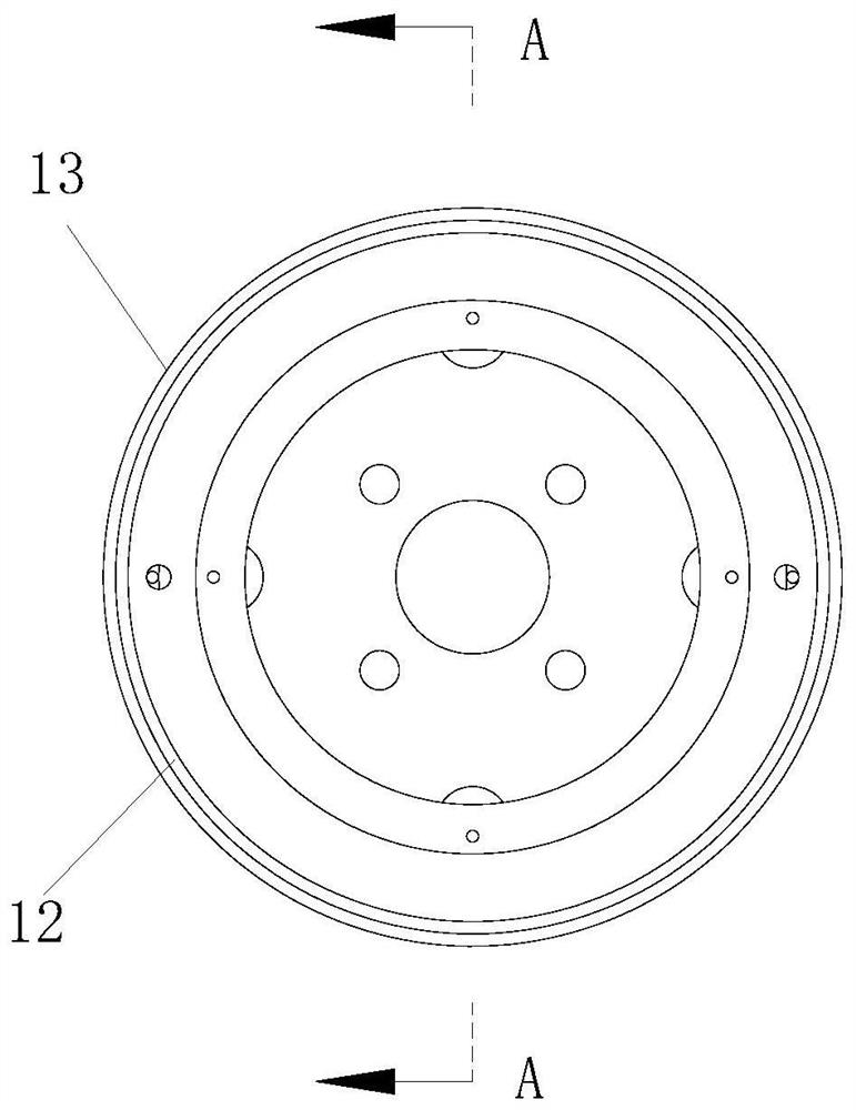 Space radiation detection device and method