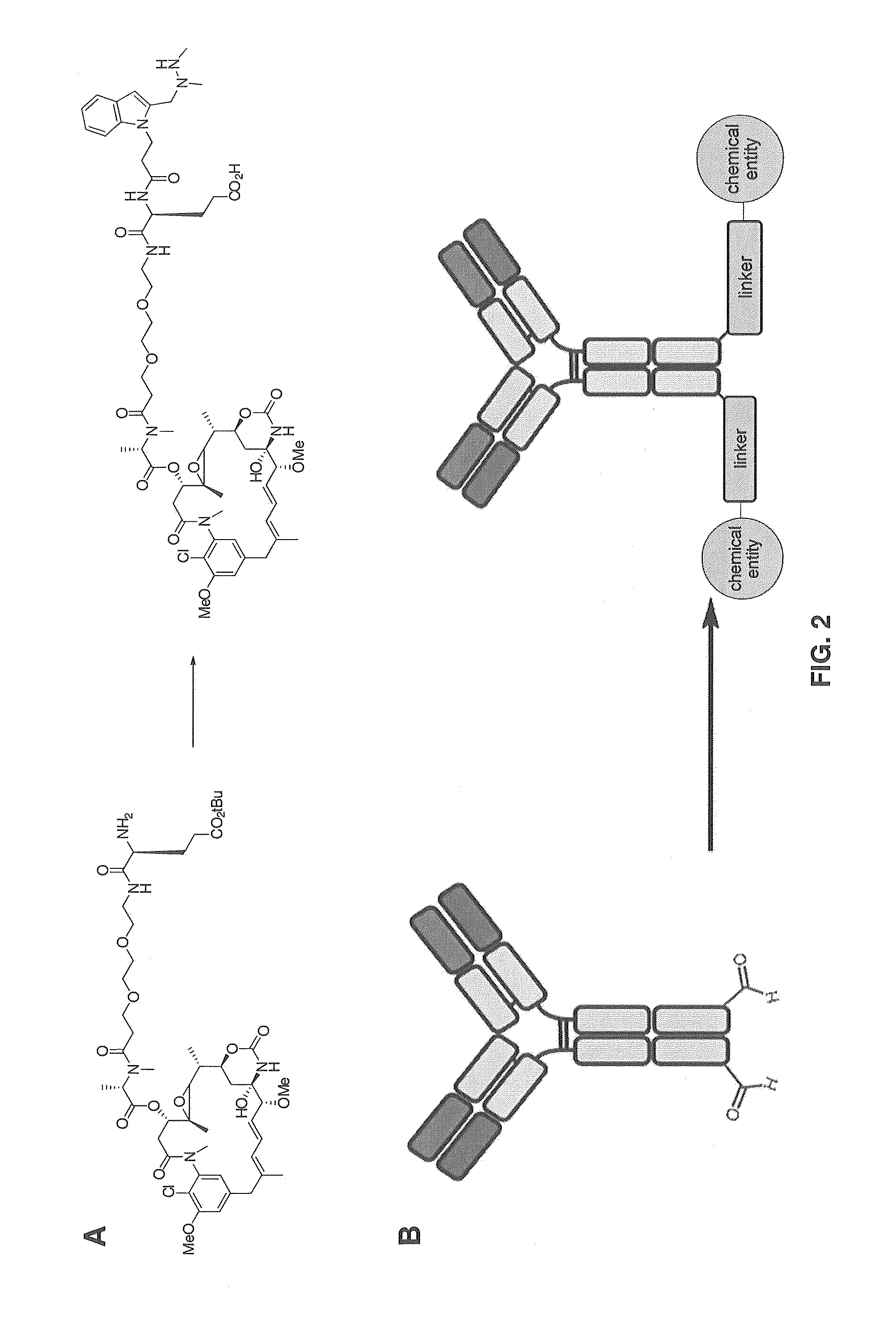 Hydrazinyl-pyrrolo compounds and methods for producing a conjugate