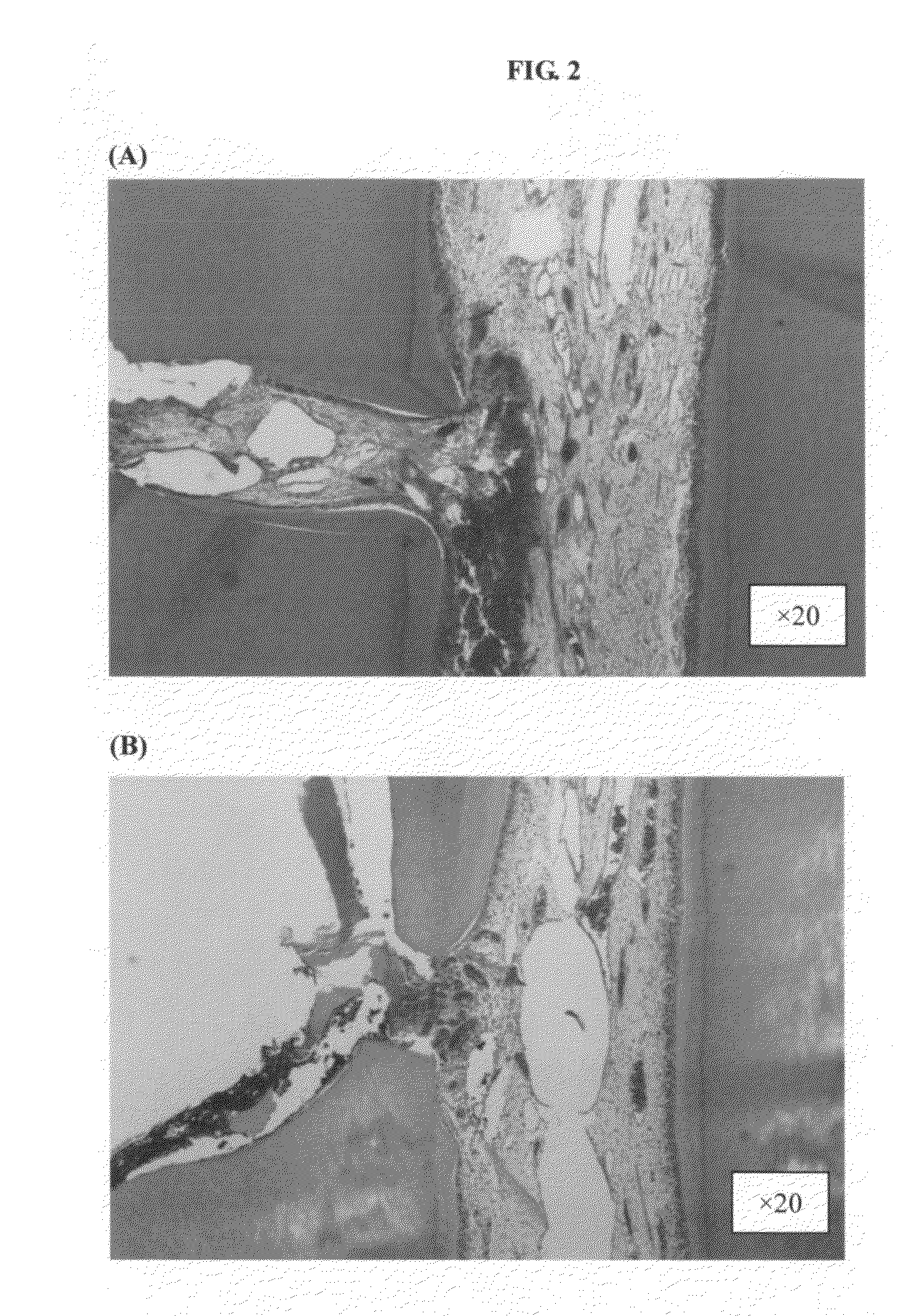 Therapeutic agent for dentin-pulp complex regeneration