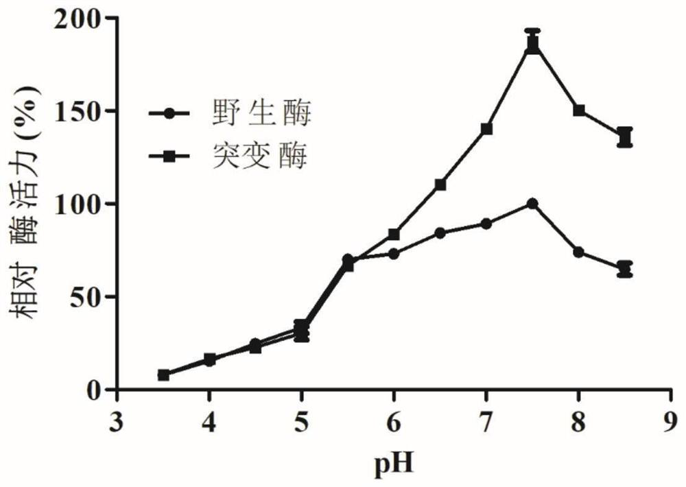 A lytic polysaccharide monooxygenase modified by site-directed mutation and its construction method and application