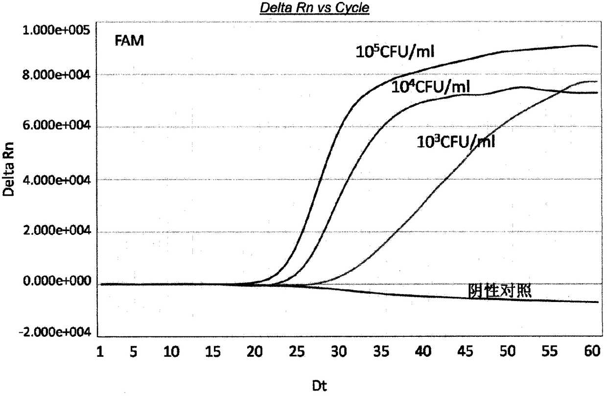 Real-time fluorescence nucleic acid isothermal amplification detection kit for Cronobacter spp