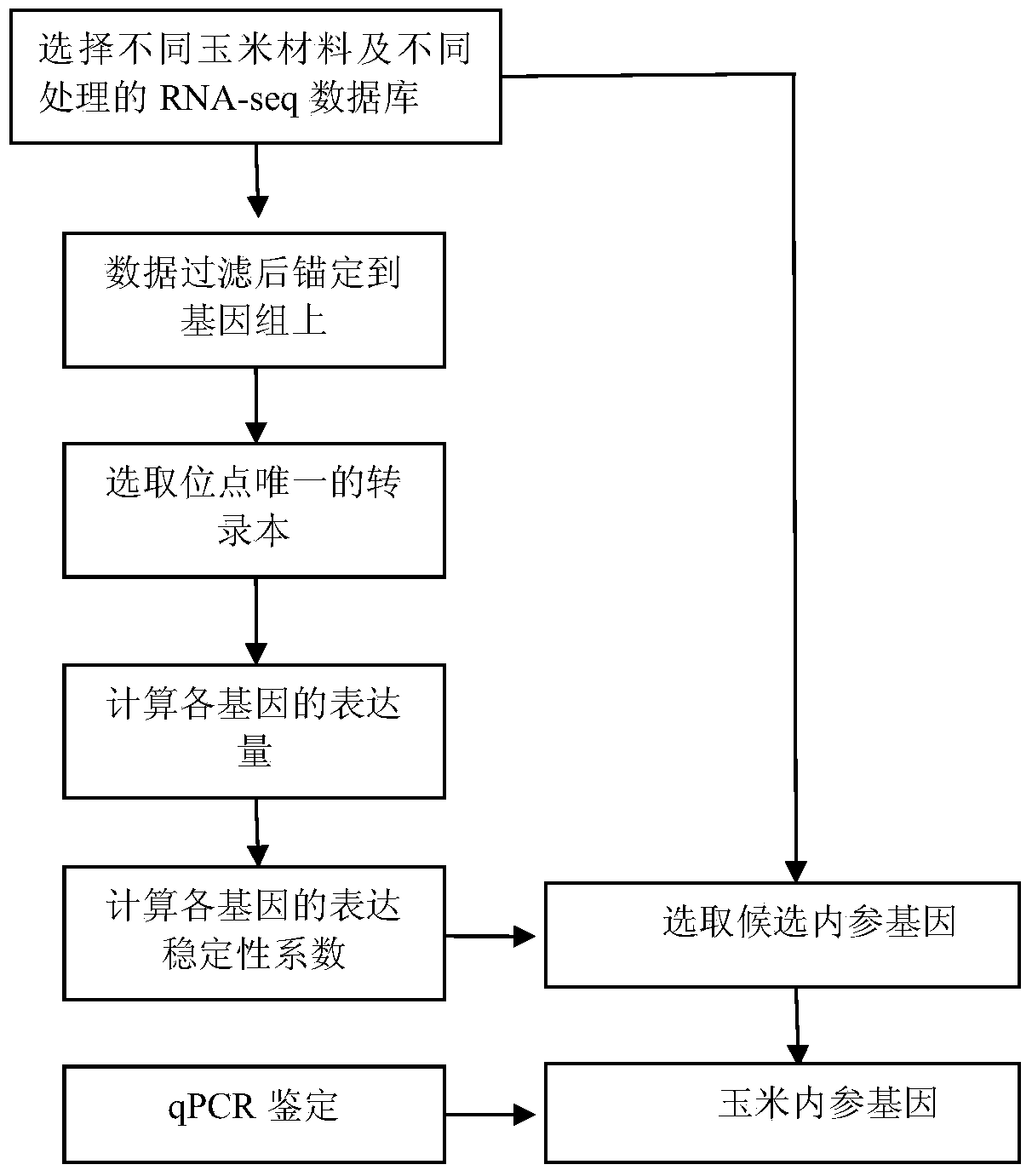 Method for high-throughput screening of maize reference gene