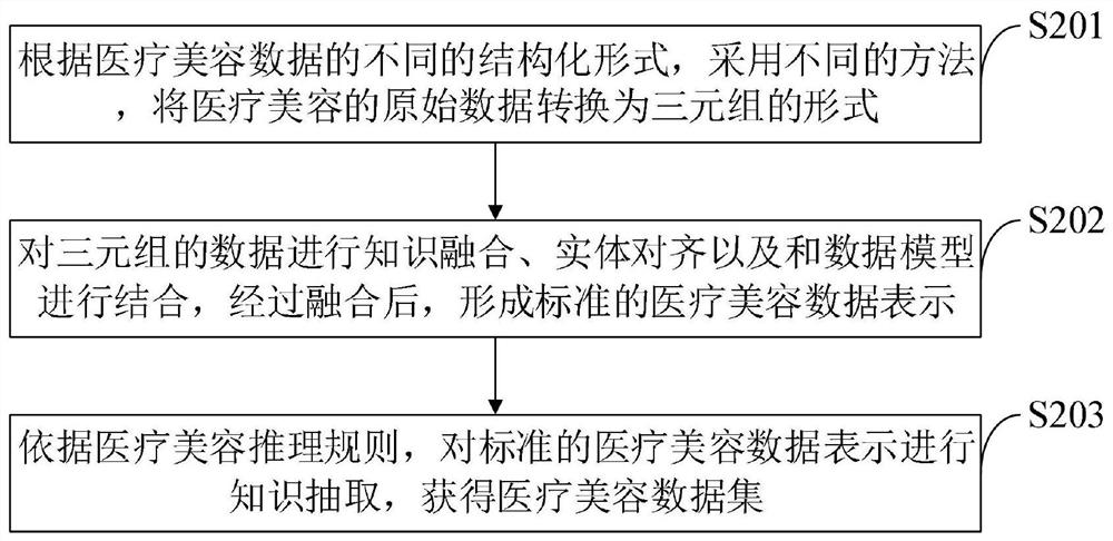 Medical beauty knowledge graph automatic construction system, method, device and terminal