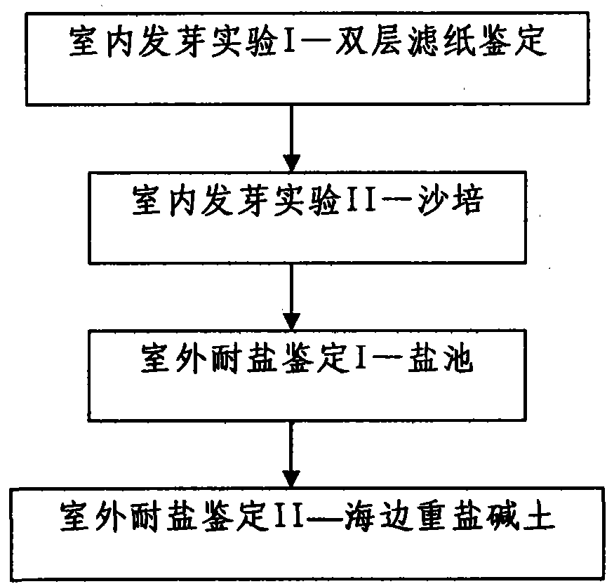 Method for identifying quality of cotton salt-tolerant seeds