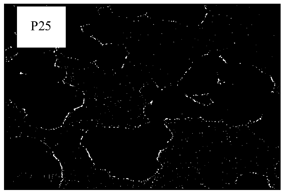 A recyclable floating composite photocatalytic ball and its preparation method and application