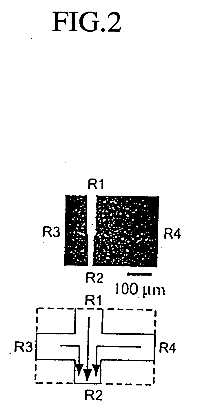 Nucleic acid analyzing method