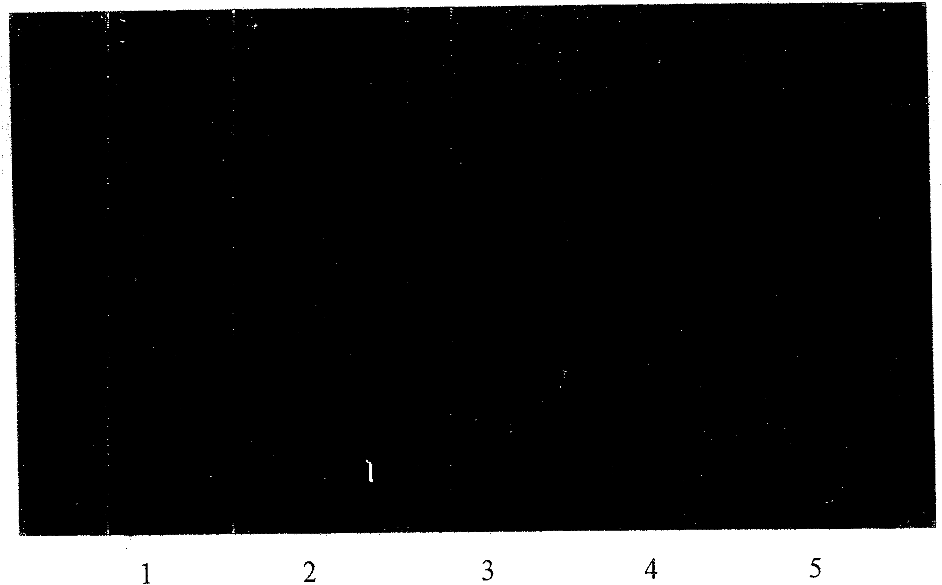 Food freshness quick detecting reagent and detection method