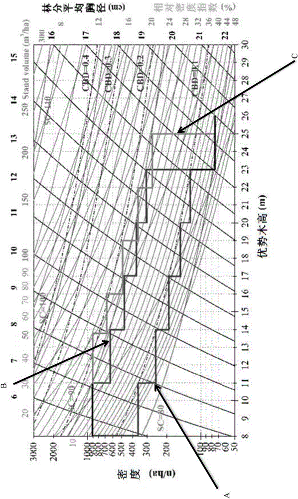 Disaster prevention control method for man-made Cunninghamia lanceolata forest