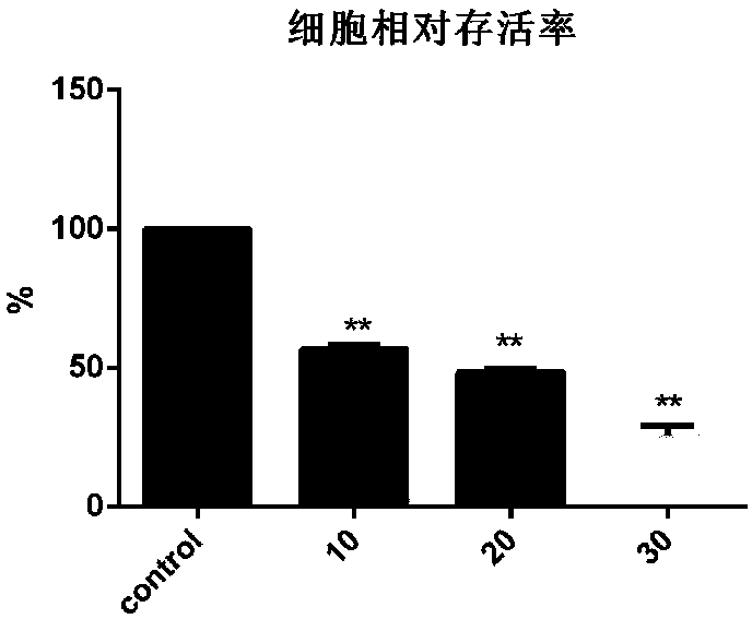 Application of aspidopterys obcordata hemsl and extract of aspidopterys obcordata hemsl to anti-tumor field