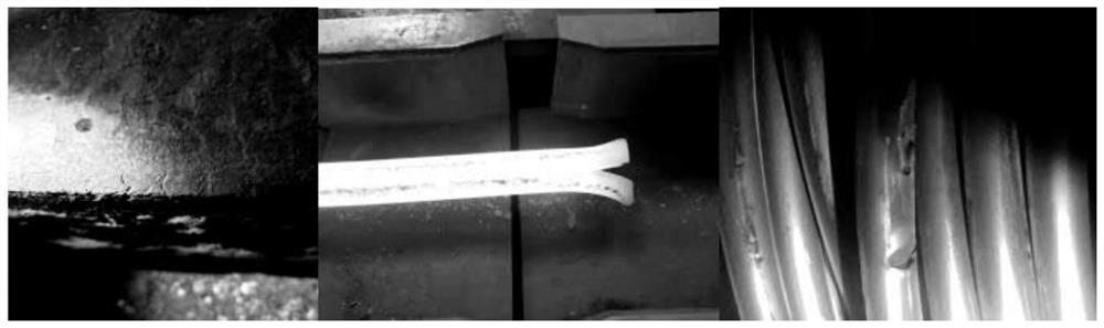 Tellurium-containing medium-carbon high-sulfur free-cutting steel, wire rod and production method of wire rod