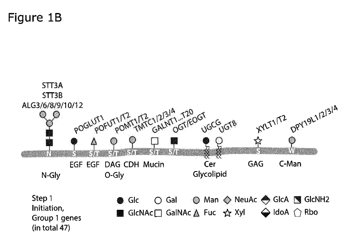 A cell-based array platform