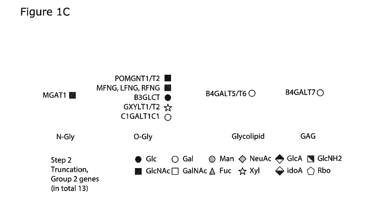 A cell-based array platform