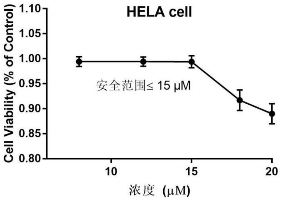 Application of hematoporphyrin derivative combined with chemical drug in cervical cancer treatment