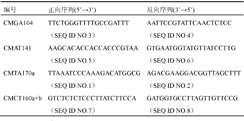 SSR (Simple Sequence Repeats) marker of gummy stem blight resistant gene Gsb-4 of melon