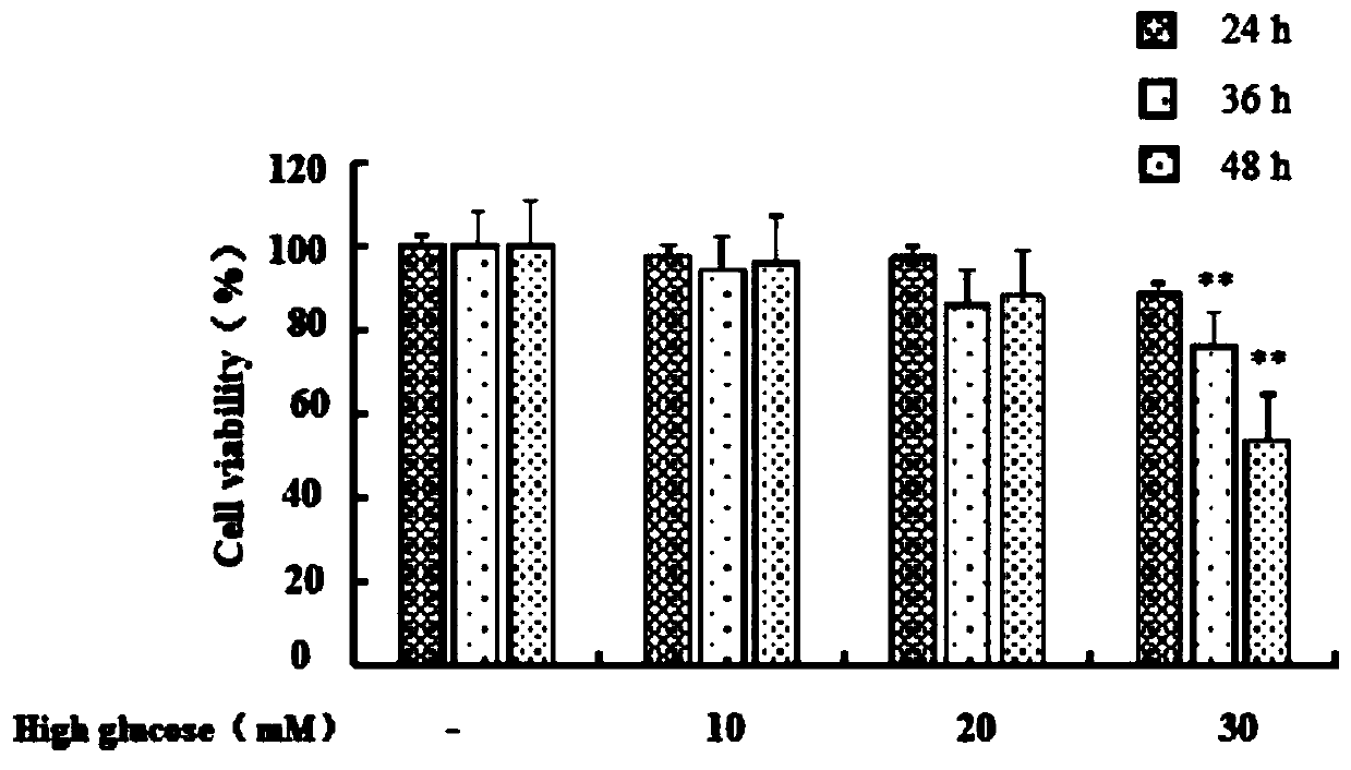 Method for detecting anthocyanin-induced rat islet beta cell autophagy effect