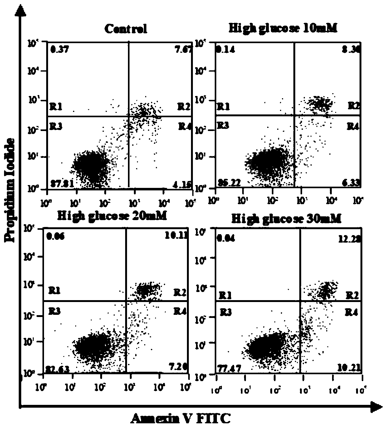 Method for detecting anthocyanin-induced rat islet beta cell autophagy effect