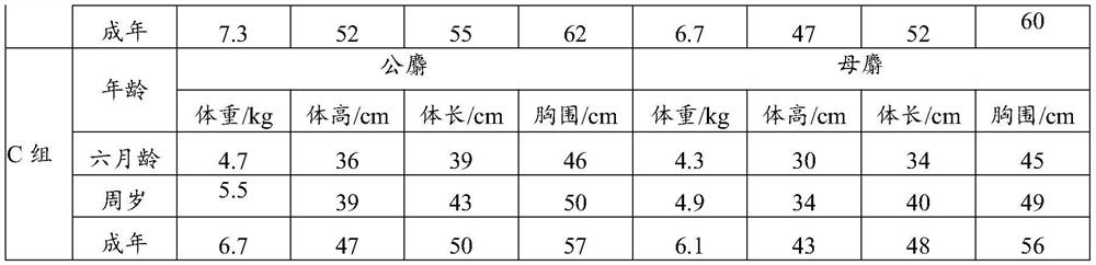 Forest musk deer Chinese herbal medicine lick brick and preparation method thereof