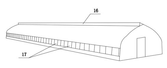 Roof-windowing single-span plastic greenhouse