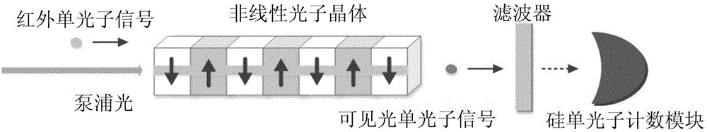 Infrared single photon detection apparatus