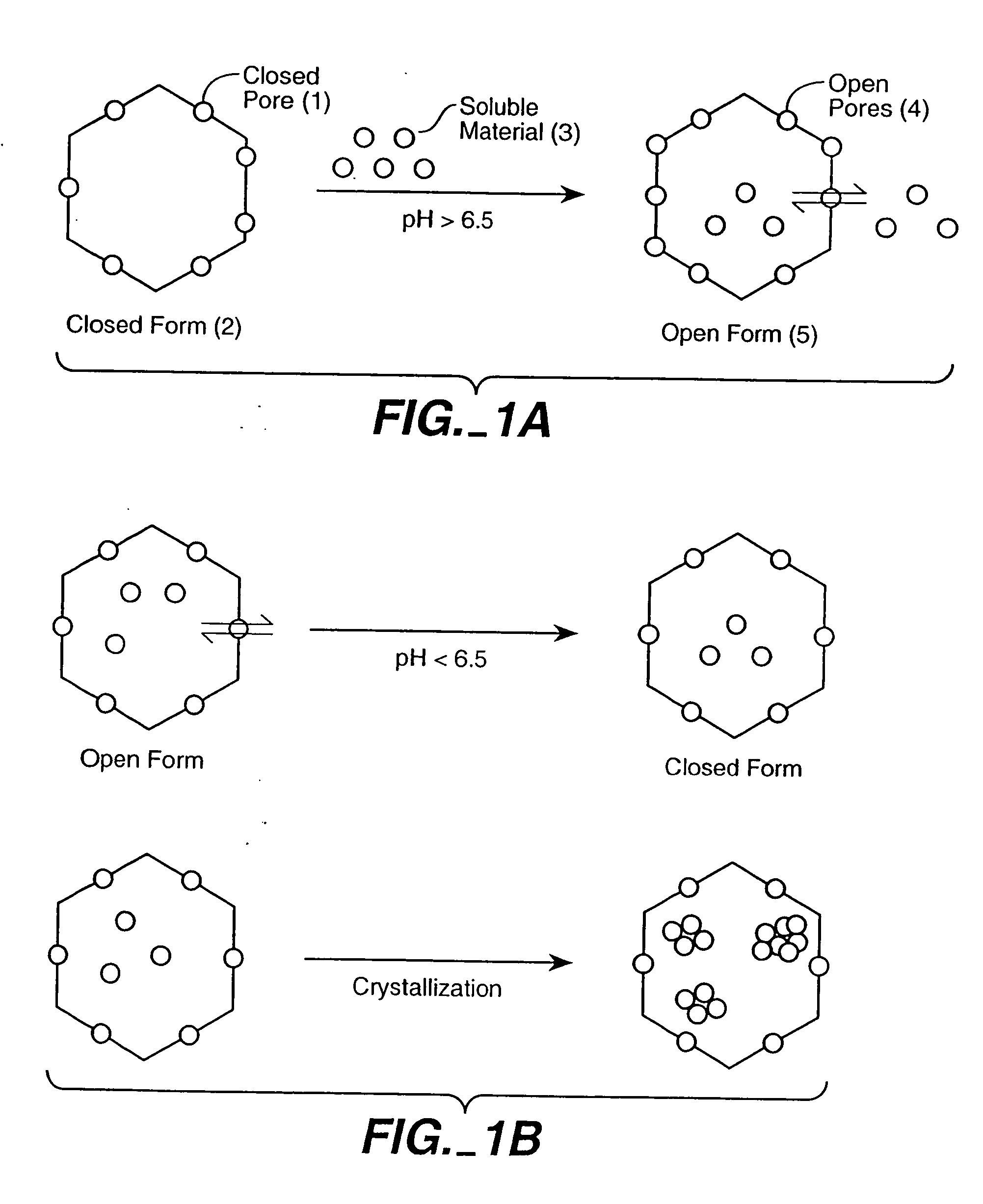 Protein cages for the delivery of medical imaging and therapeutic agents