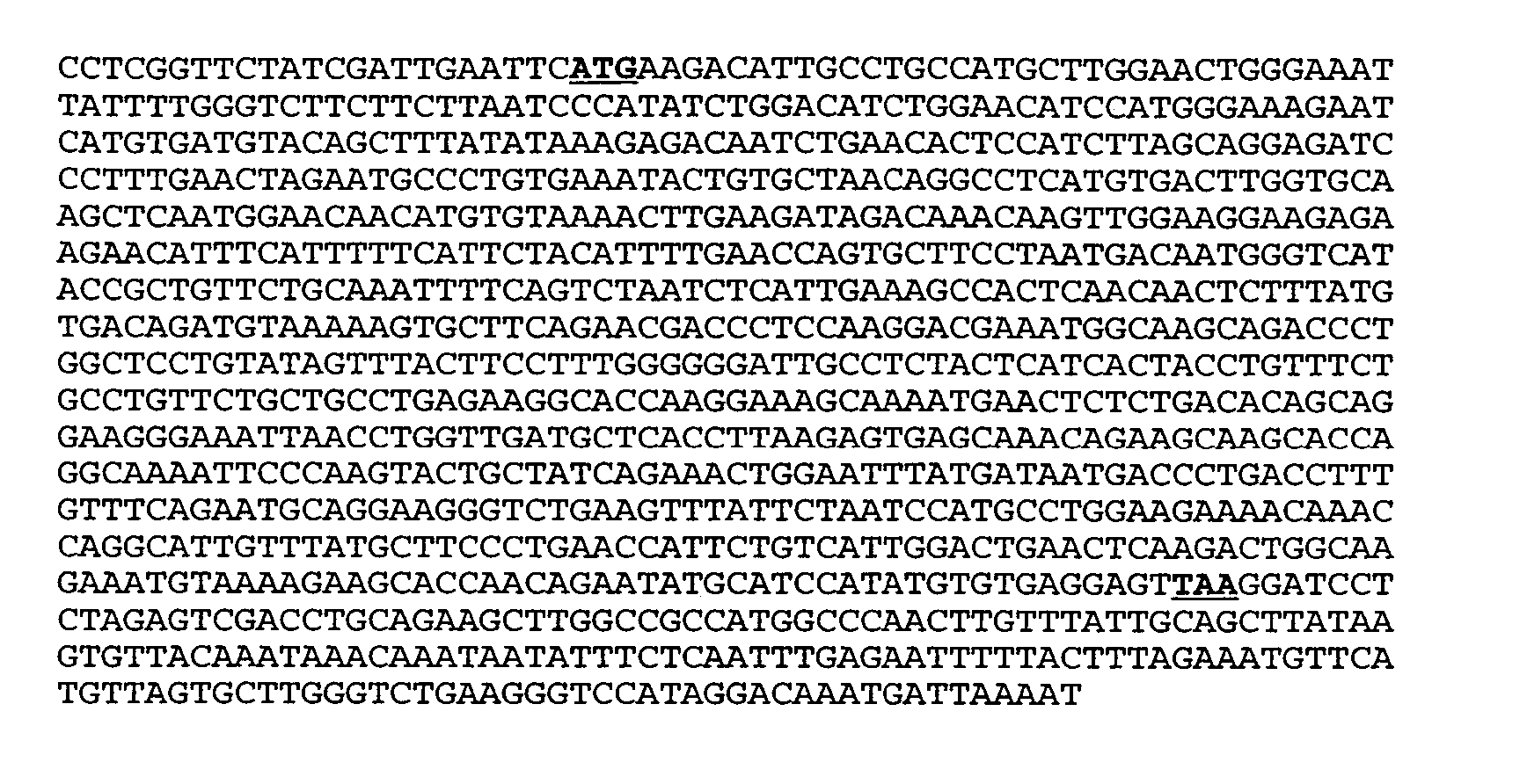 Novel composition and methods for the treatment of immune related diseases