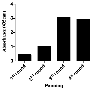 Fully humanized single-domain antibody for CD16, antigen combining fragment of antibody and applications