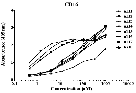 Fully humanized single-domain antibody for CD16, antigen combining fragment of antibody and applications