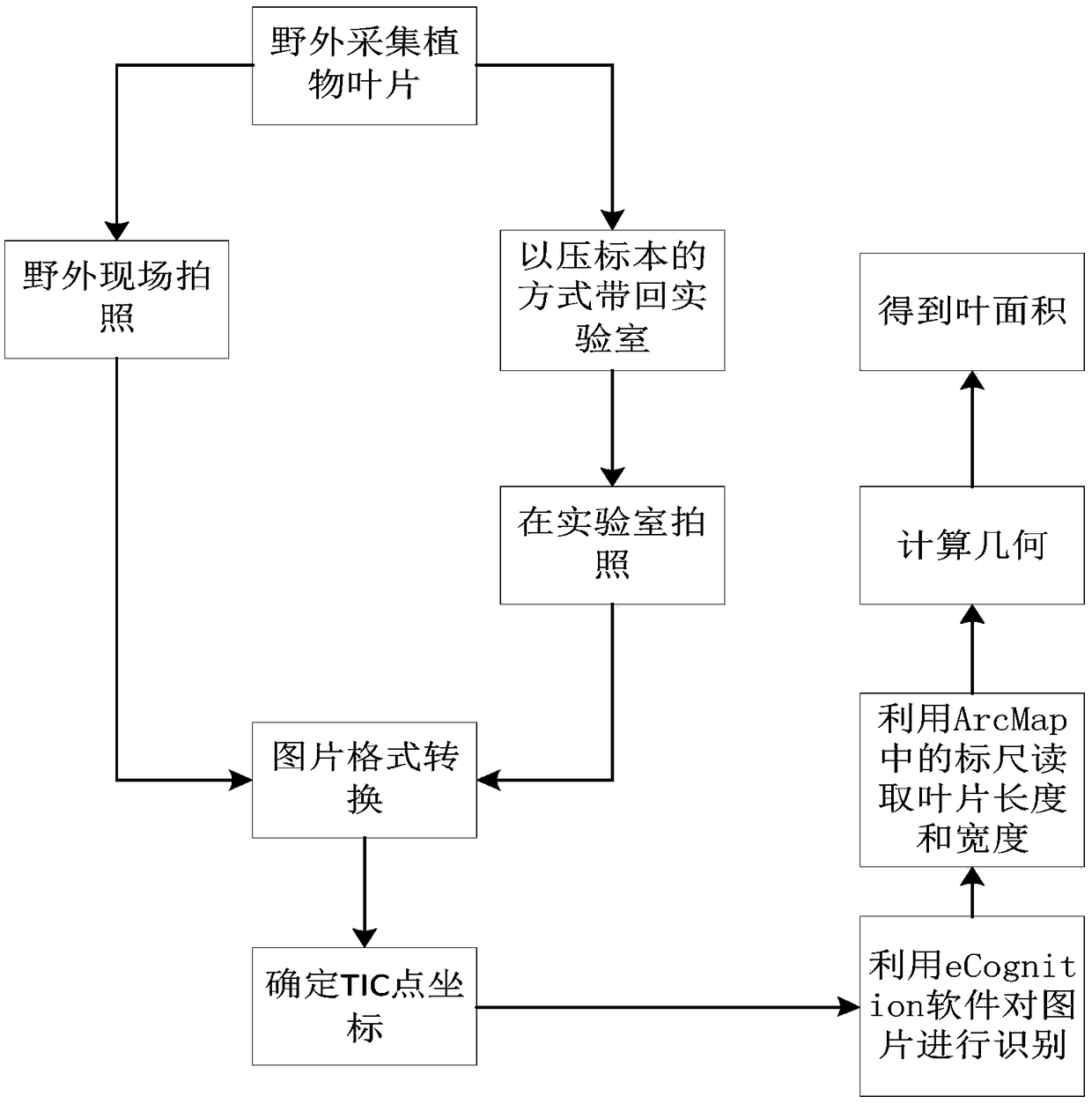 Method for measuring area of leaf of plant