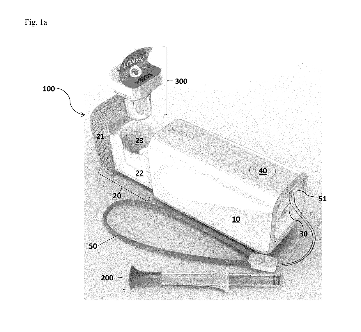 Systems and methods for allergen detection