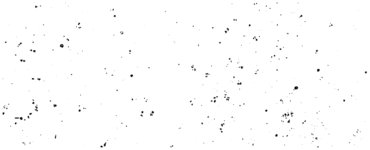 Low-serum culture medium for Vero cell culture and corresponding virus production