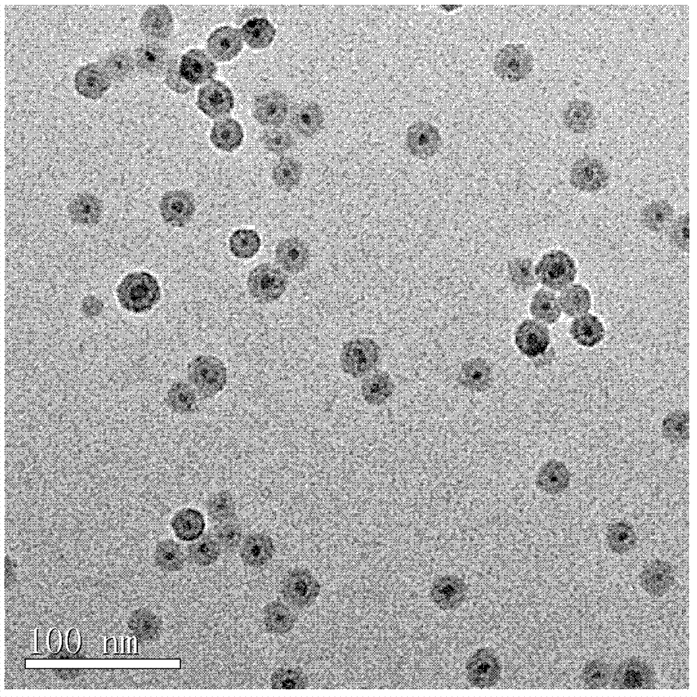 Adapter-modified magneto-optic dual-function contrast agent and preparation method and application thereof