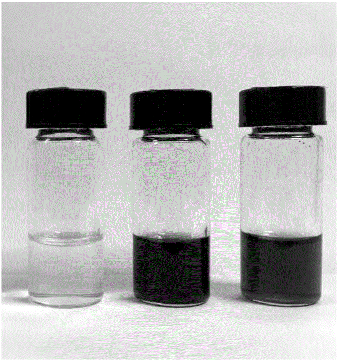 Self-detection anticorrosive paint with nano-carriers, preparation method of paint and application