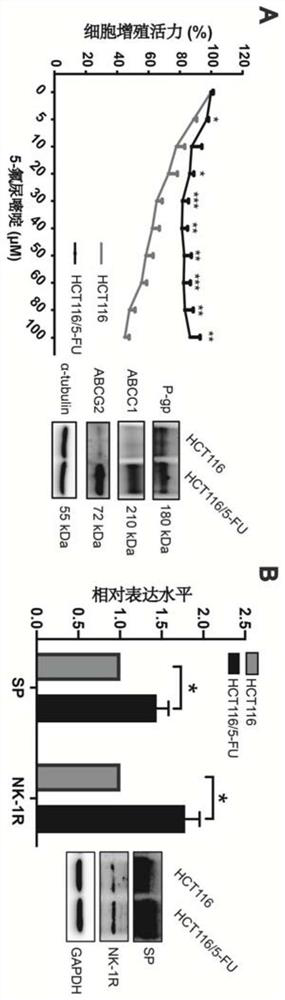 Effect of neurokinin 1 receptor antagonist in promoting chemotherapy sensitivity and reversing chemotherapy drug resistance in colorectal cancer