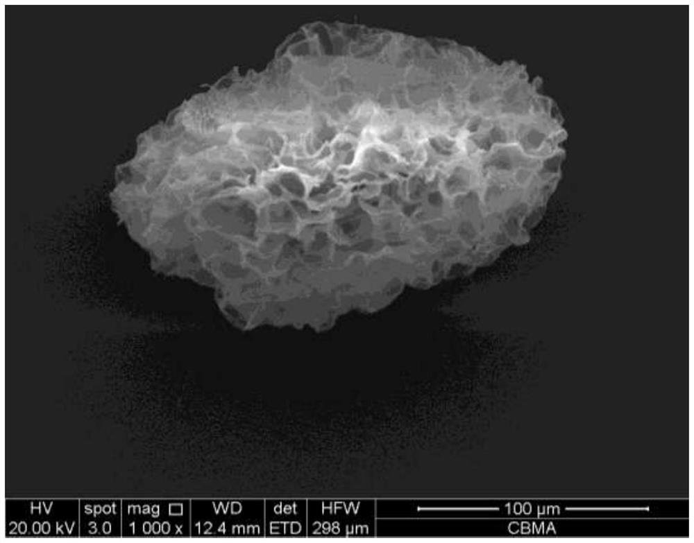 Aerobic granular sludge with strengthened inner core and strengthened framework, and culture method thereof