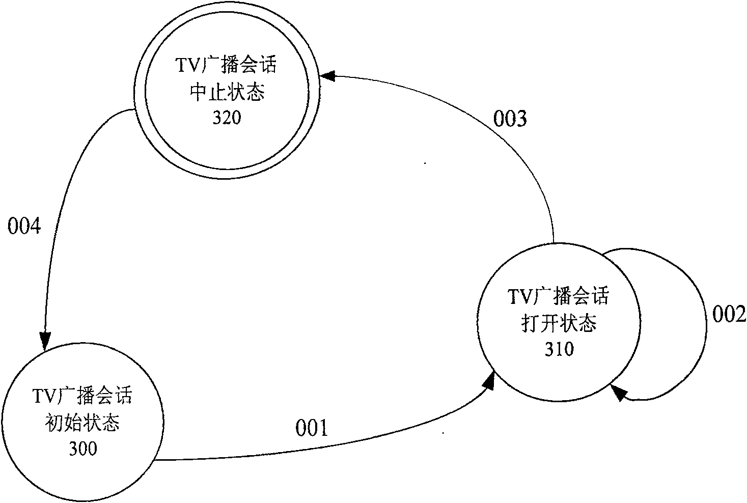 Terminal playing method of the mobile phone TV