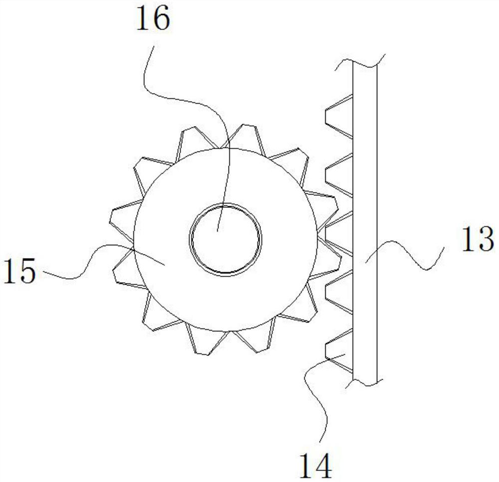 Free grabbing and fixing device for medical functional experiment mouse