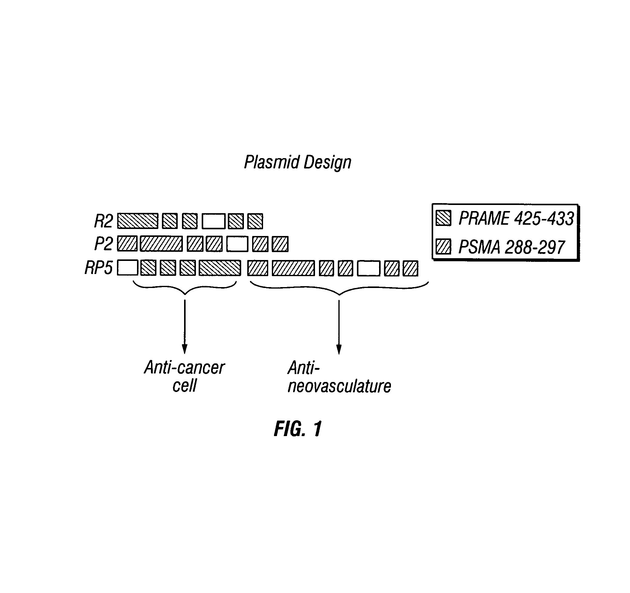 Methods and compositions to elicit multivalent immune responses against dominant and subdominant epitopes, expressed on cancer cells and tumor stroma