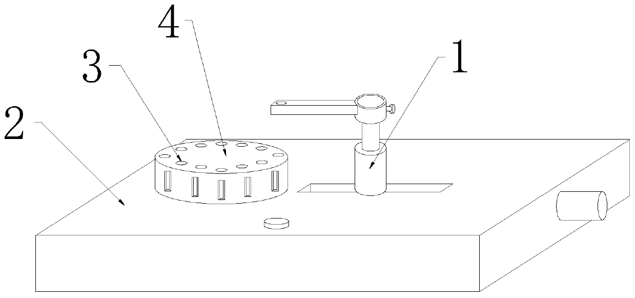 Plasma mass spectrometer sample introduction pipe frame structure