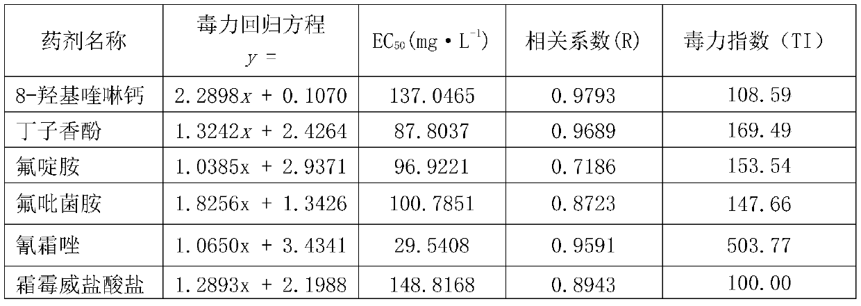 Sterilizing composition containing calcium 8-hydroxyquinoline and used for preventing and treating downy mildew and late blight