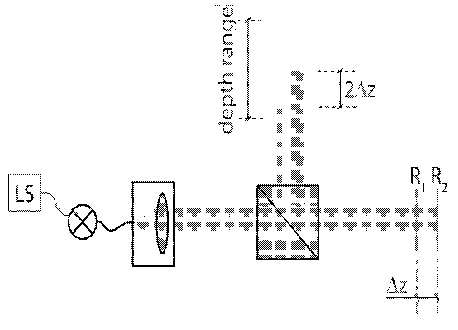 Dual beam heterodyne fourier domain optical coherence tomography